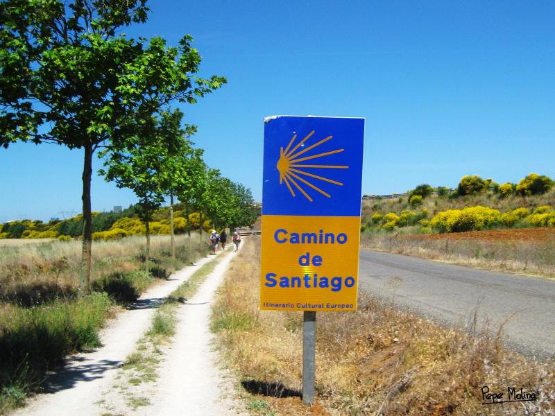 Señal del Camino de Santiago junto a un sendero rural
